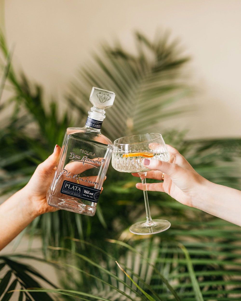 Don Ramón Tequila Platinum Plata | Passion Spirits