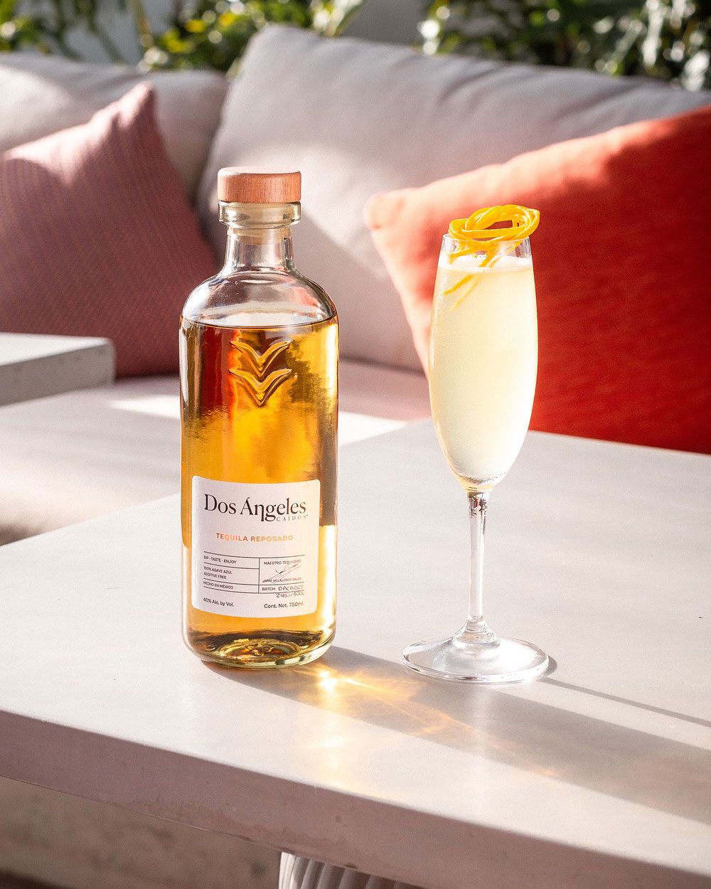 Dos Ángeles Caídos Tequila Reposado | Passion Spirits