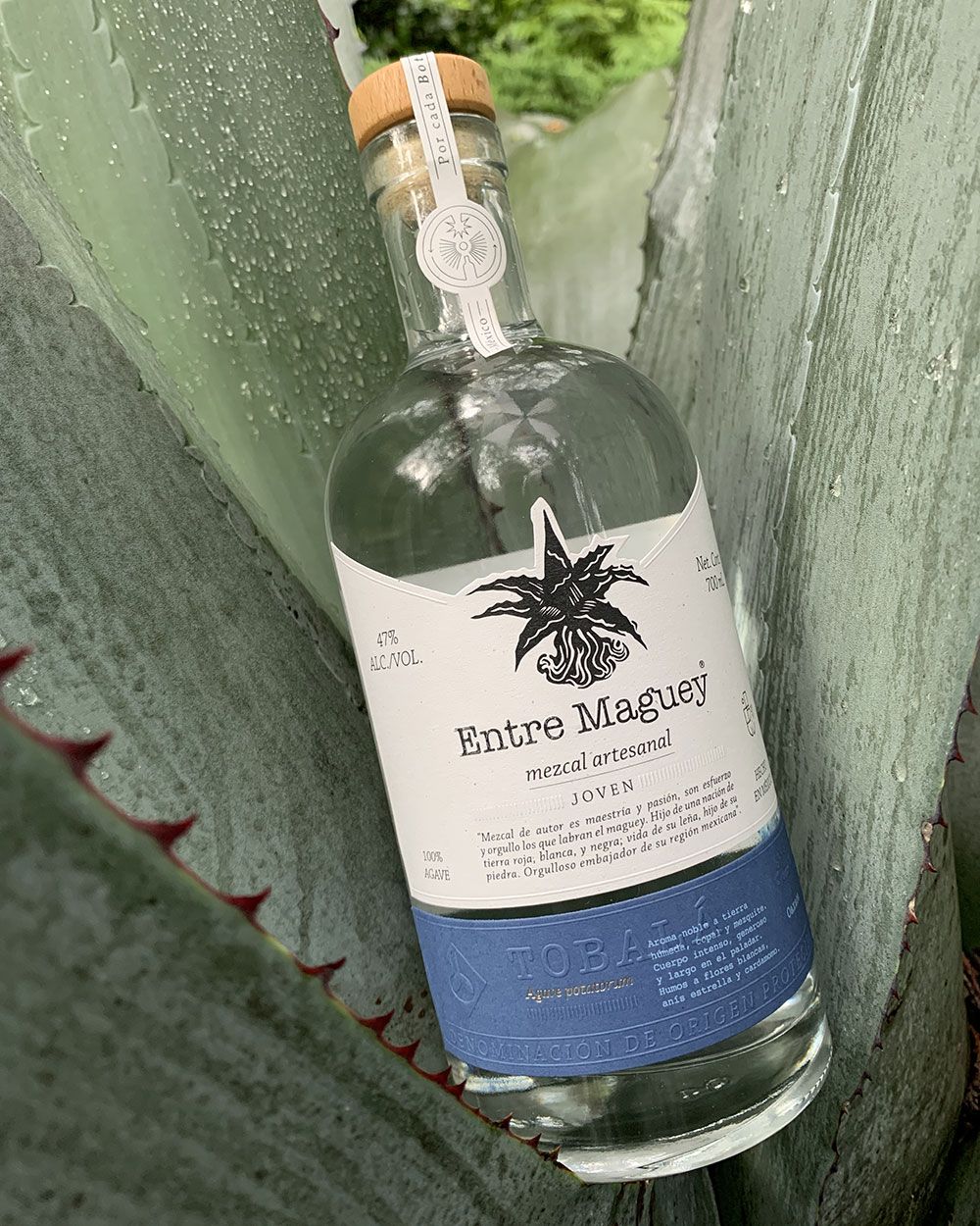 Entre Maguey Mezcal Artesanal Joven Tobalá | Passion Spirits