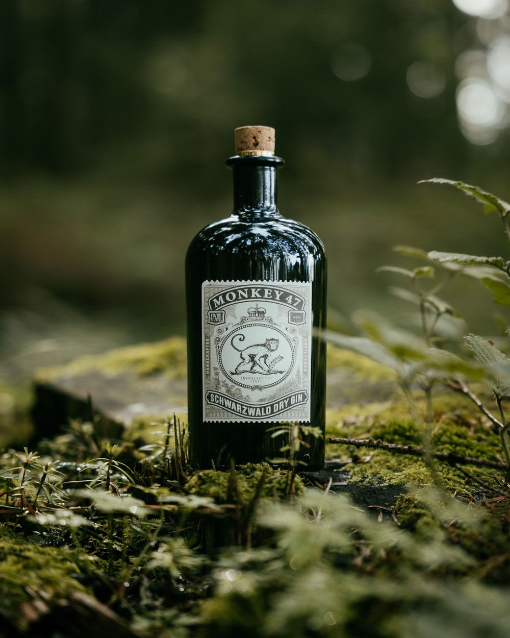 Monkey 47 Schwarzwald Dry Gin Distiller's Cut 2024 | Passion Spirits