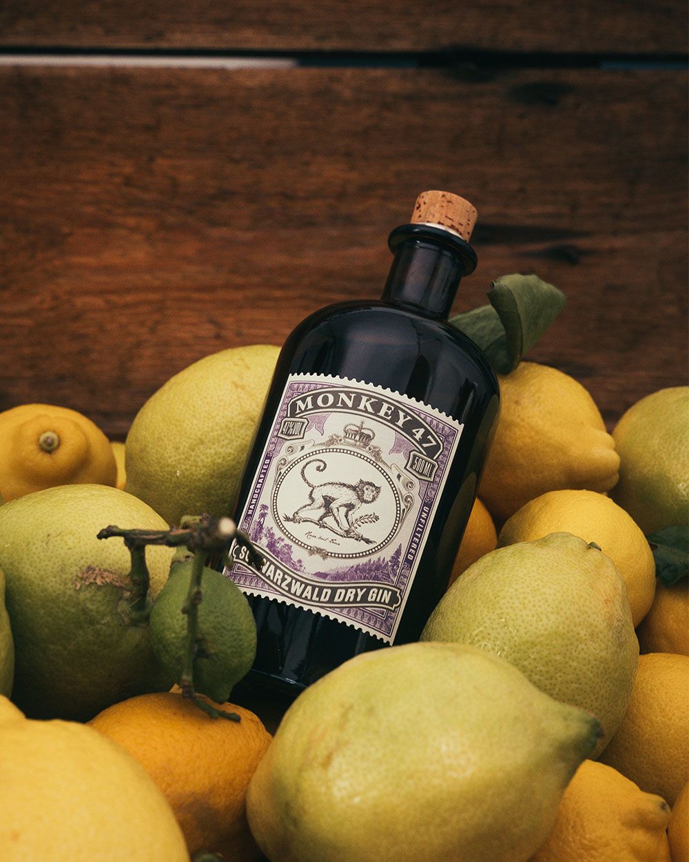 Monkey 47 Schwarzwald Dry Gin | 375mL | Passion Spirits