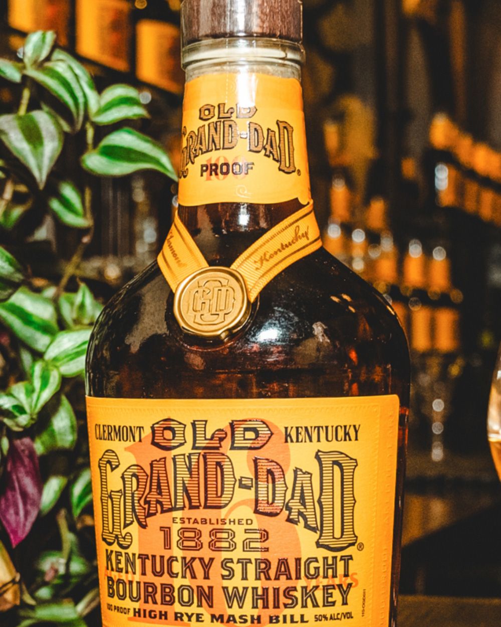 Old Grand Dad 16 Year Kentucky Straight Bourbon Whiskey 100 Proof