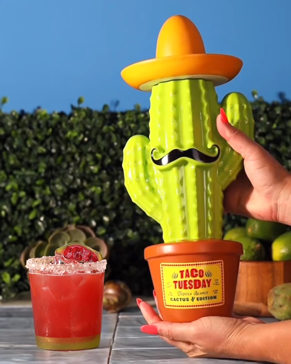 Taco Tuesday Tequila Blanco Ceramic Cactus Edition | Passion Spirits