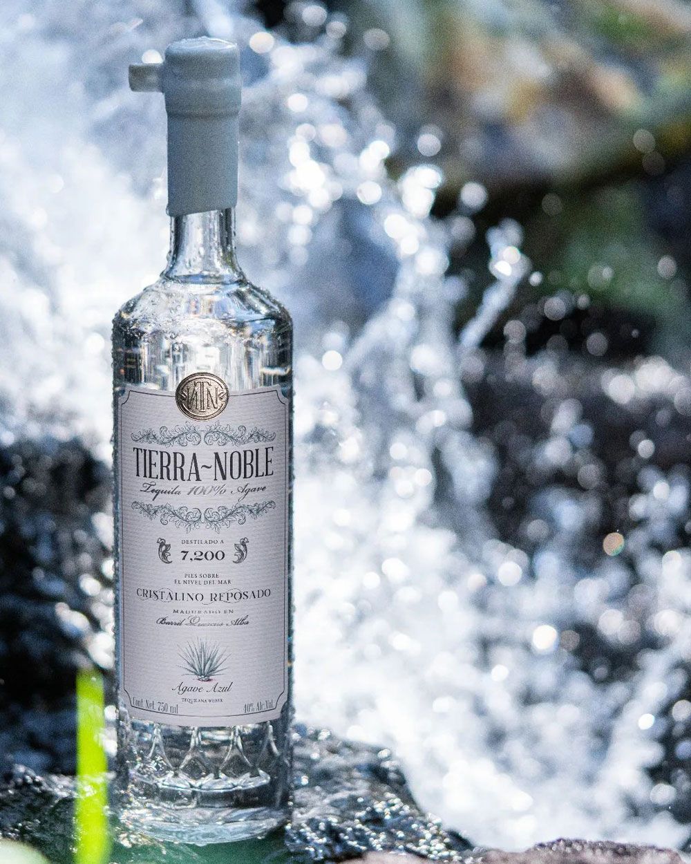 Tierra Noble Tequila Reposado Cristalino °40 | Passion Spirits