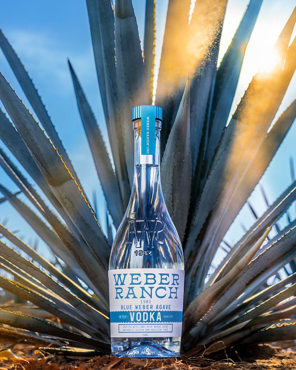 Weber Ranch Vodka 1902 Blue Weber Agave Vodka | Passion Spirits
