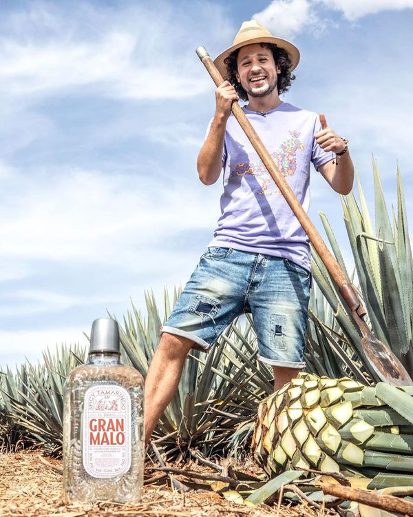 メキシコ産 ハイビスカス テキーラ Tequila Gran Malo メキシコ産 ハイビスカス テキーラ Tequila Gran Malo Gran Malo