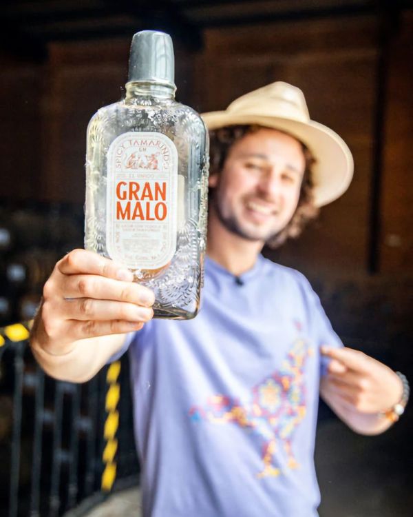 メキシコ産 ハイビスカス テキーラ Tequila Gran Malo メキシコ産 ハイビスカス テキーラ Tequila Gran Malo - メルカリ