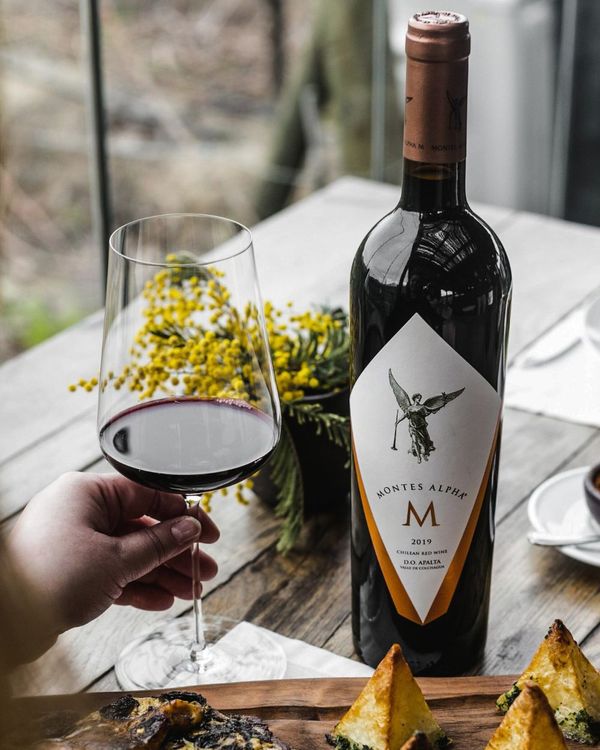 ワイン MONTES ALPHA M 2019 medium_Passion_Spirits_Montes_