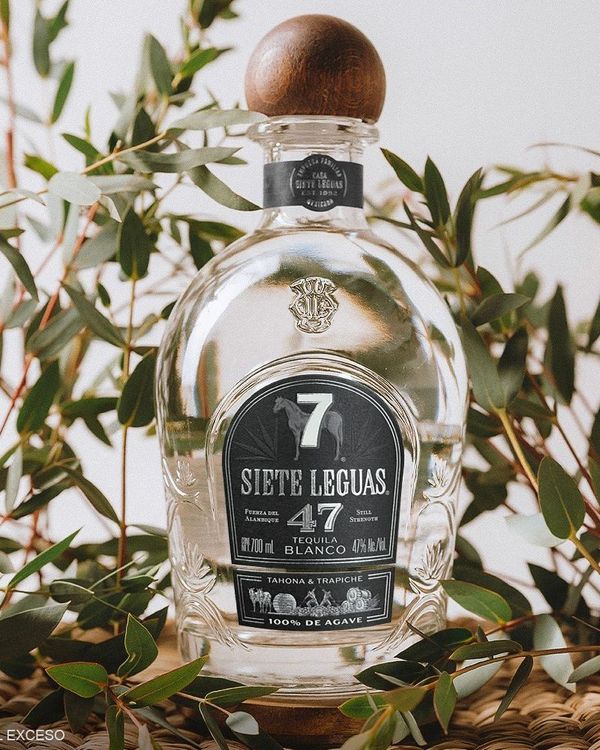 Siete Leguas Tequila Blanco 47 High Proof Tahona & Trapiche
