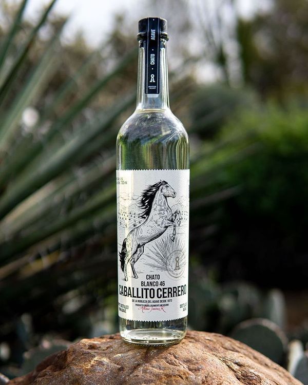 Caballito Cerrero Chato Blanco 46 Agave Spirit | Passion Spirits