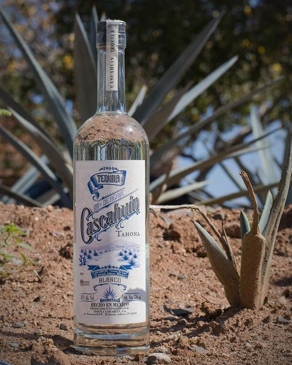 Cascahuin Blanco Tahona Tequila | Passion Spirits
