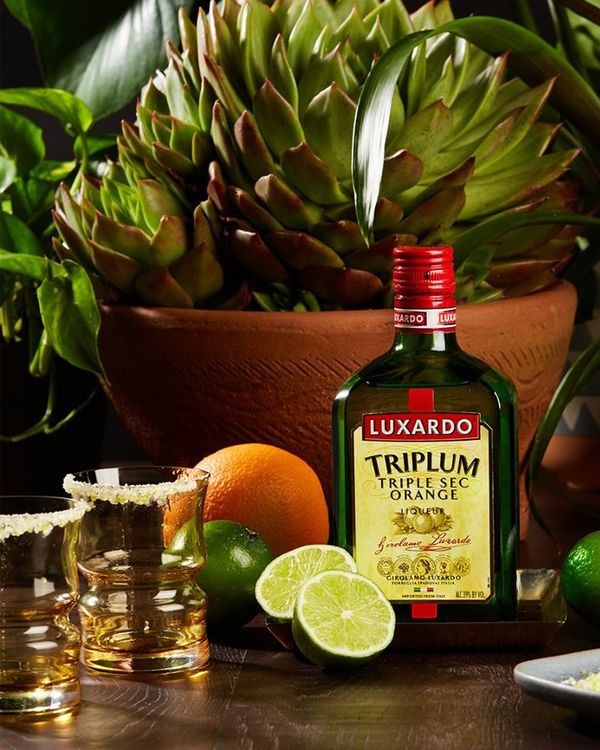 Luxardo Triplum Triple Sec Orange Liqueur | Passion Spirits