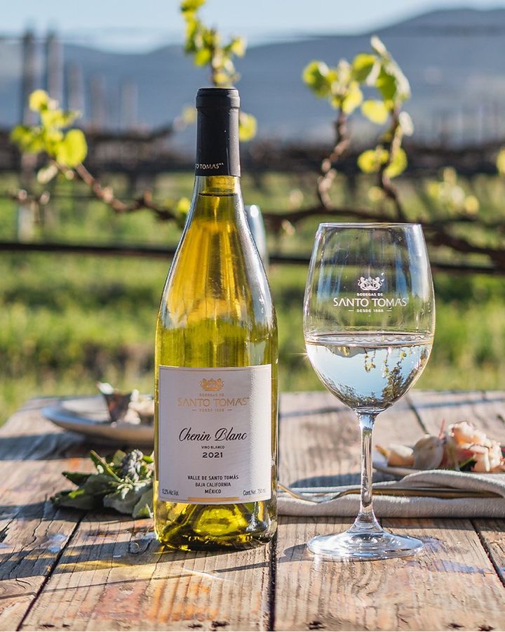 Bodegas de Santo Tomás Chenin Blanc | Passion Spirits