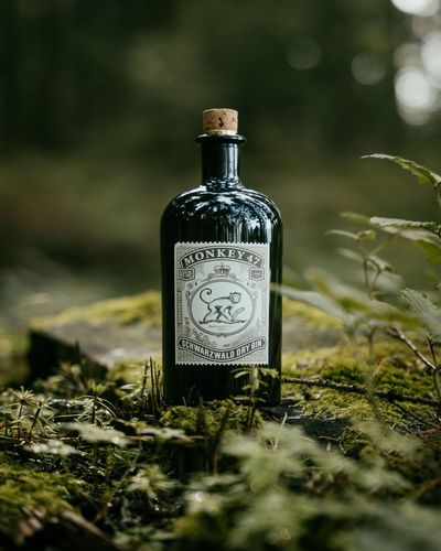 small_Passion_Spirits_Monkey_4