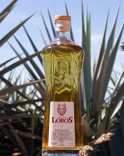 Lobos 1707 Tequila Reposado | Passion Spirits