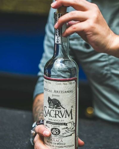 サルコカウロン　ムルチフィズム 250826 25 small_magento_madre48_481e9ba8