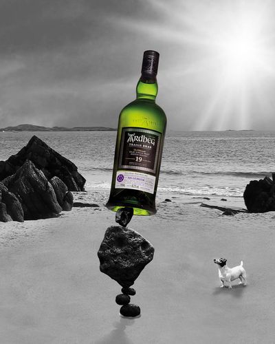 Ardbeg Traigh Bhan 19 Years Old Islay Single Malt Scotch Whisky
