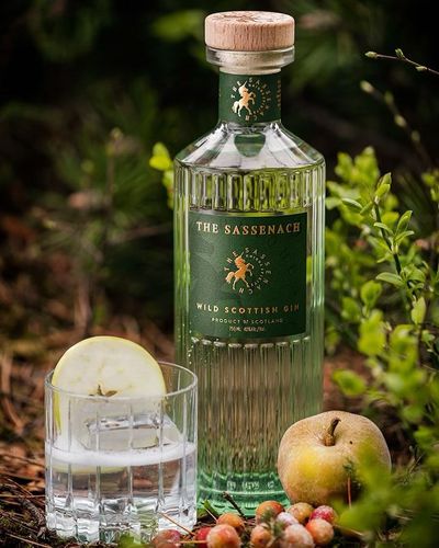 The Sassenach Wild Scottish Gin | Passion Spirits